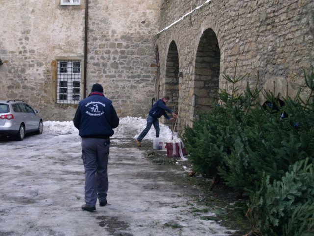 Weihnachtsbaumverkauf 2012